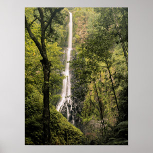 Costa Rica, Cocos-eiland, Waterval Wafer Bay Poster