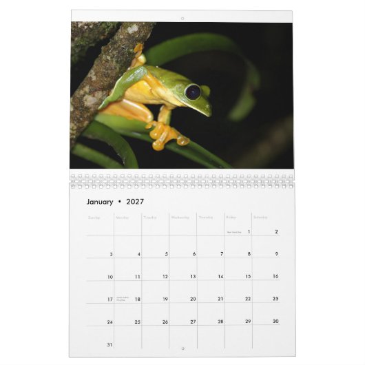 Costa Rica Frogs Calendar Kalender (Jan 2027)