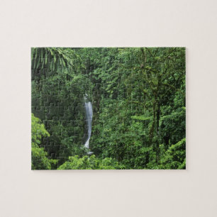 Costa Rica, gebied Arenal Volcano, Hangende brugge Legpuzzel