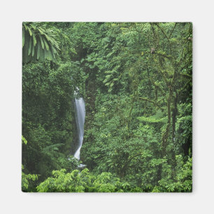 Costa Rica, gebied van de Arenal Volcano, Hangende Magneet