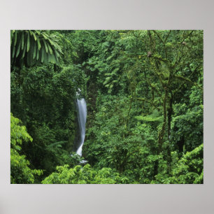 Costa Rica, gebied van de Arenal Volcano, Hangende Poster