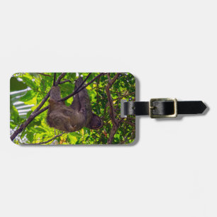 Costa Rica - Happy Lazy Sloth, Antonio Manuel NP Bagagelabel