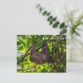 Costa Rica - Happy Lazy Sloth, Antonio Manuel NP Briefkaart (Staand voorkant)