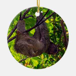 Costa Rica - Happy Lazy Sloth, Antonio Manuel NP Keramisch Ornament