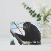 Costa Rica Howler Monkey Briefkaart (Staand voorkant)