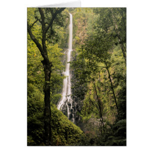 Costa Rica, île de Cocos, cascade de la baie de Wa