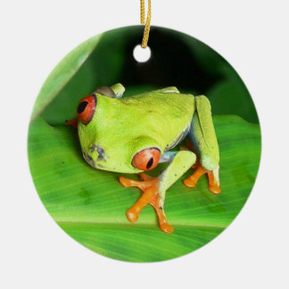 Costa Rica Keramisch Ornament