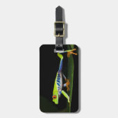 Costa Rica, kikker met rode ogen (Agalychnis) Bagagelabel (Voorkant verticaal)