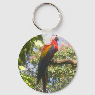 Costa Rica Macaw Sleutelhanger