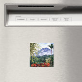 Costa Rica Magneet (Insitu (Vaatwasser))