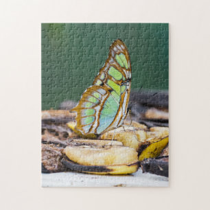 Costa Rica - Malachiet vlinder Legpuzzel