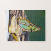 Costa Rica - Malachietvlinder Legpuzzel (Horizontaal)