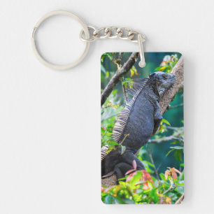 Costa Rica, Muelle - Lazy Iguana die in een boom r Sleutelhanger