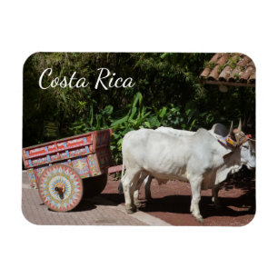 Costa Rica Oxcart Magneet