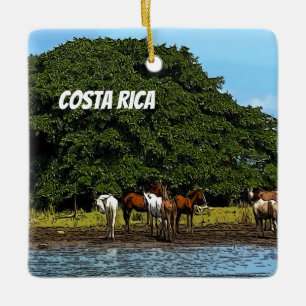 Costa Rica - Paarden bij het water Keramisch Ornament