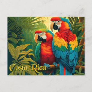 Costa Rica Papegaaien Briefkaart