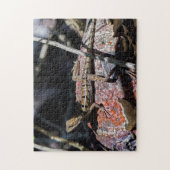 Costa Rica, Punta Cahuita - Vrouw basilisk Lizard Legpuzzel (Verticaal)