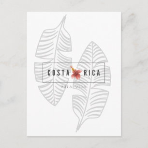 Costa Rica Pura Vida Briefkaart met tropisch lef