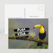Costa Rica Pura Vida Toucan Photo Carte postale (Devant / Derrière)