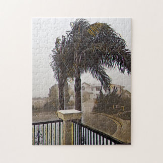 Costa Rica Rain Legpuzzel