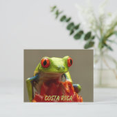 Costa Rica Red-Eyed Tree Frog Souvenir Briefkaart (Staand voorkant)