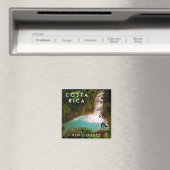 Costa Rica Rio Celeste Souvenir Magnet Magneet (Insitu (Vaatwasser))