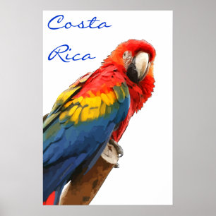 Costa Rica Scarlet Macaw Poster