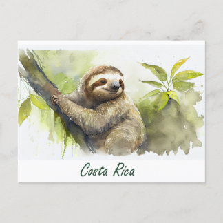 Costa Rica Sloth Briefkaart