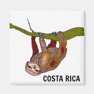 Costa Rica Sloth Magnet Magneet