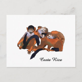 Costa Rica Titi Monkey Briefkaart