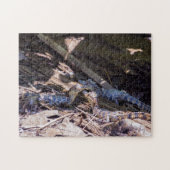 Costa Rica, Tortuguero - Baby krokodillen Legpuzzel (Horizontaal)