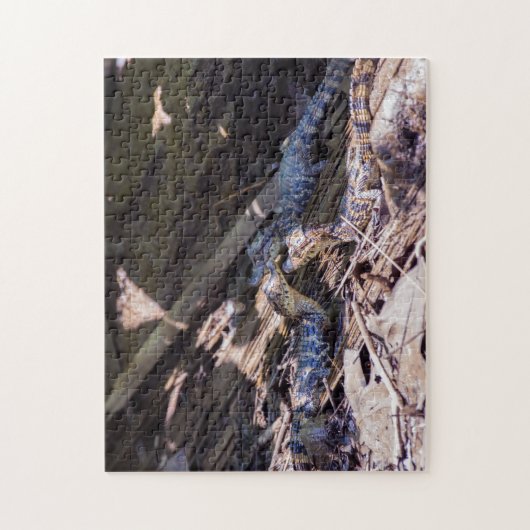 Costa Rica, Tortuguero - Baby krokodillen Legpuzzel (Verticaal)