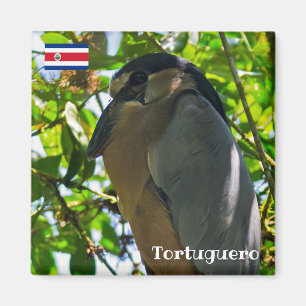 Costa Rica, Tortuguero - Boat-kiezelvis Magneet