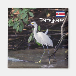 Costa Rica, Tortuguero - Egretta thula Magneet