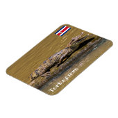 Costa Rica, Tortuguero - Maliderende krokodil Magneet (Linkerzijde)