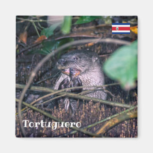 Costa Rica, Tortuguero - Otter etende vis Magneet