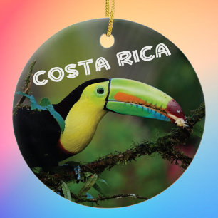 Costa Rica Toucan Keramisch Ornament