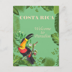 Costa Rica Toucan Revel Briefkaart