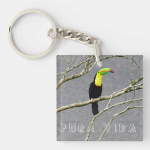 Costa Rica Toucan Souvenir  Sleutelhanger