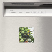 Costa Rica Tropical Toucan Souvenir Magnet (In Situ (Lave-vaisselle))