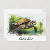 Costa Rica Turtle Briefkaart (Voorkant / Achterkant)