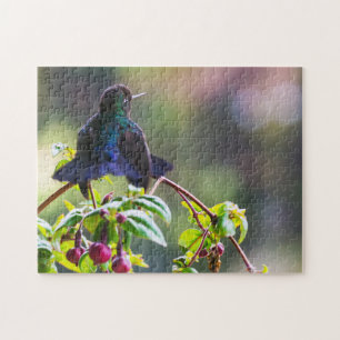 Costa Rica vogel - Fiery-throated Hummingbird Legpuzzel