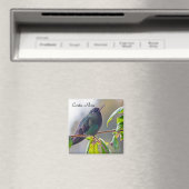 Costa Rica vogel - Fiery-throated Hummingbird Magneet (Insitu (Vaatwasser))