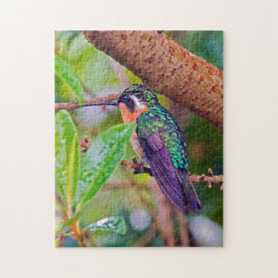 Costa Rica vogel - Vuurkeelkolibrie Legpuzzel
