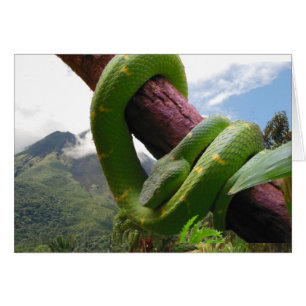 Costa Rica Volcano en Snake