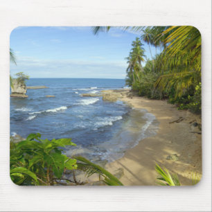 Costa Rica, Vuil Manzanillo Wildlife Muismat