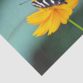 Costa Rica  - Zebra Longwing Butterfly Tissuepapier (Detail)