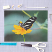Costa Rica - Zebra Longwing Vlinder Tissuepapier (Craft)