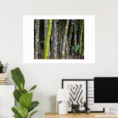 Costa Ricaans regenwoud Bamboe Art Poster (Thuiskantoor)