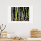 Costa Ricaans regenwoud Bamboe Art Poster (Keuken)